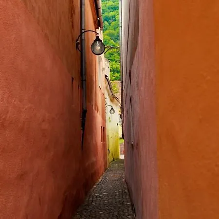 Apartmán Stefan Brašov